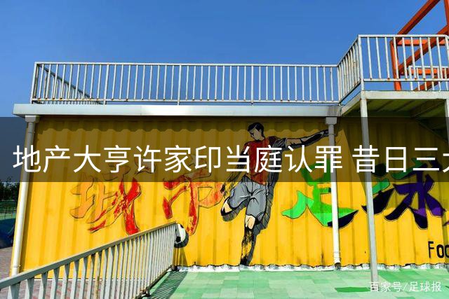 地产大亨许家印当庭认罪 昔日三大"贵人"尽失