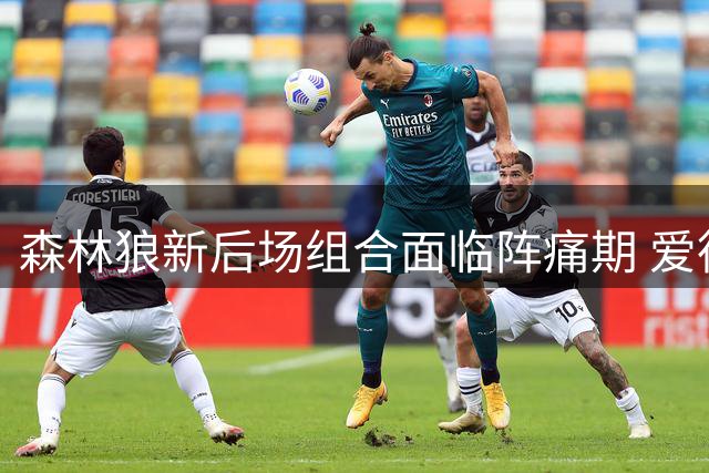 森林狼新后场组合面临阵痛期 爱德华兹直言"庆祝每个低谷